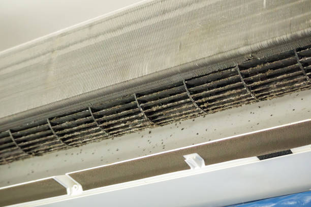 Best Duct Cleaning for Homes  in New Town, ND